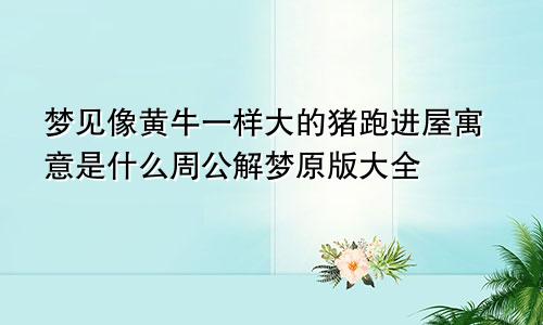 梦见像黄牛一样大的猪跑进屋寓意是什么周公解梦原版大全