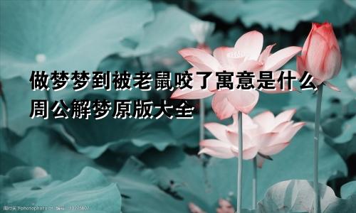 做梦梦到被老鼠咬了寓意是什么周公解梦原版大全