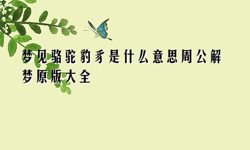 梦见骆驼豹豸是什么意思周公解梦原版大全