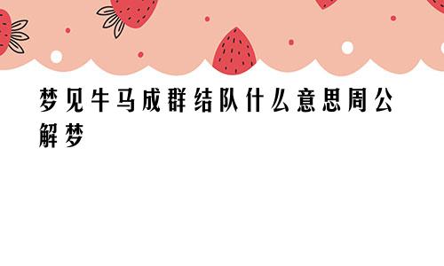 梦见牛马成群结队什么意思周公解梦