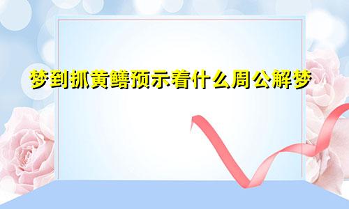 梦到抓黄鳝预示着什么周公解梦