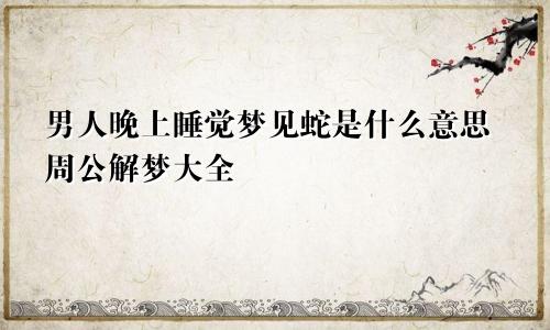 男人晚上睡觉梦见蛇是什么意思周公解梦大全
