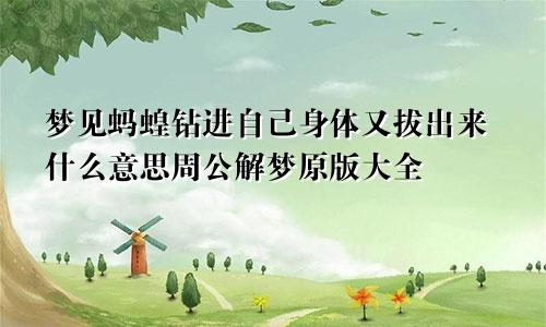 梦见蚂蝗钻进自己身体又拔出来什么意思周公解梦原版大全