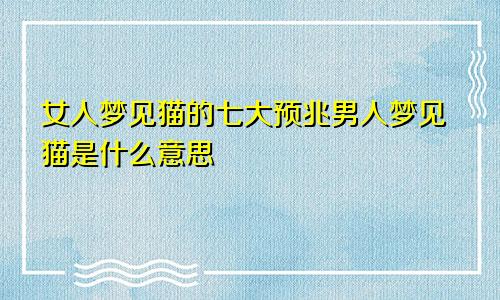 女人梦见猫的七大预兆男人梦见猫是什么意思