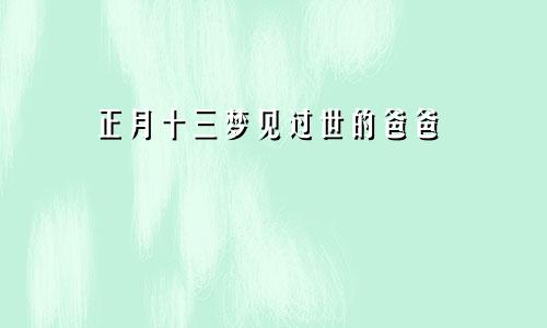 正月十三梦见过世的爸爸