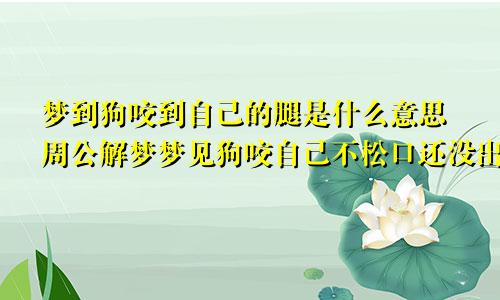 梦到狗咬到自己的腿是什么意思周公解梦梦见狗咬自己不松口还没出血