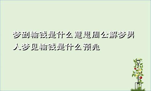 梦到输钱是什么意思周公解梦男人梦见输钱是什么预兆