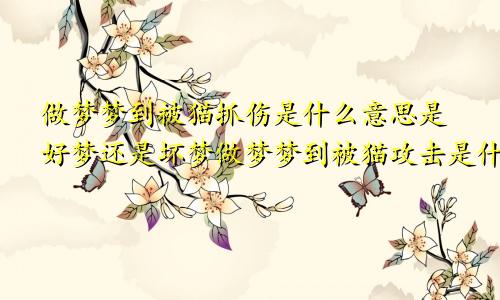 做梦梦到被猫抓伤是什么意思是好梦还是坏梦做梦梦到被猫攻击是什么意思
