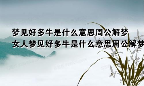 梦见好多牛是什么意思周公解梦女人梦见好多牛是什么意思周公解梦