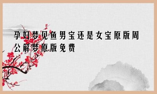 孕妇梦见鱼男宝还是女宝原版周公解梦原版免费