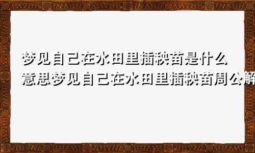 梦见自己在水田里插秧苗是什么意思梦见自己在水田里插秧苗周公解梦