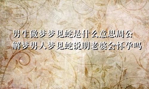 男生做梦梦见蛇是什么意思周公解梦男人梦见蛇说明老婆会怀孕吗