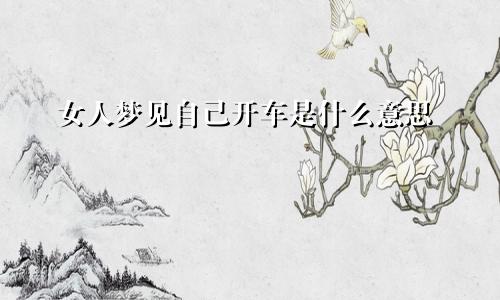 女人梦见自己开车是什么意思