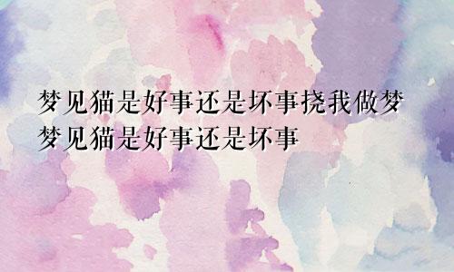 梦见猫是好事还是坏事挠我做梦梦见猫是好事还是坏事