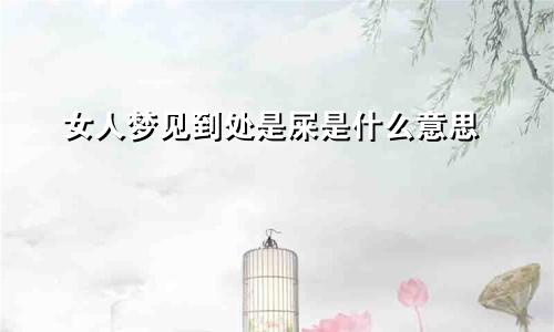 女人梦见到处是屎是什么意思