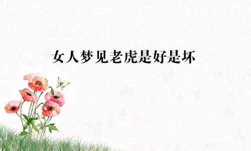 女人梦见老虎是好是坏