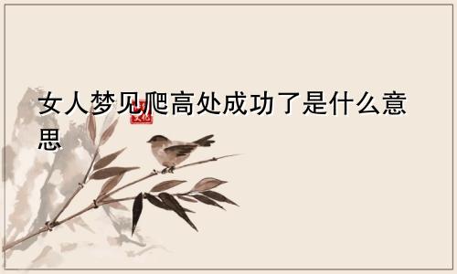 女人梦见爬高处成功了是什么意思