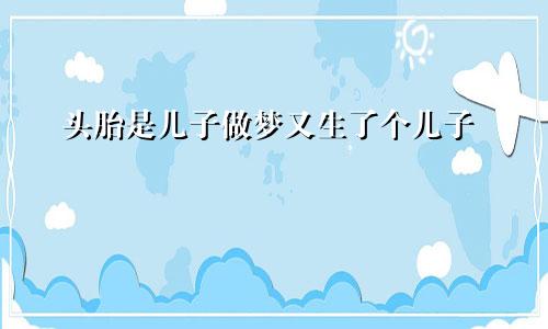 头胎是儿子做梦又生了个儿子