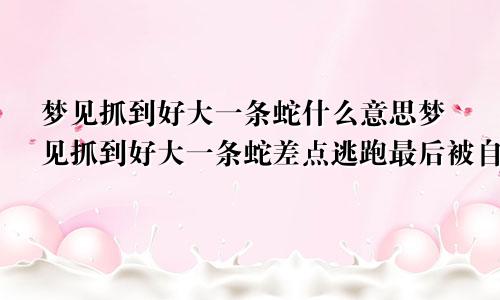 梦见抓到好大一条蛇什么意思梦见抓到好大一条蛇差点逃跑最后被自己打死了