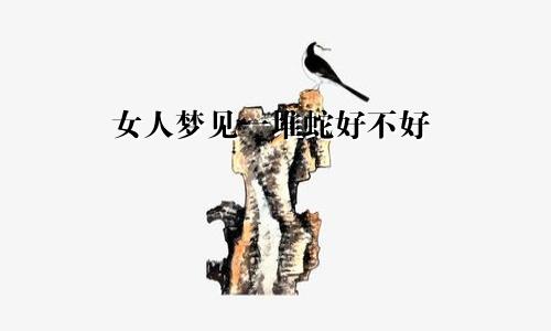 女人梦见一堆蛇好不好