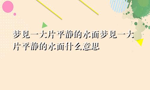 梦见一大片平静的水面梦见一大片平静的水面什么意思