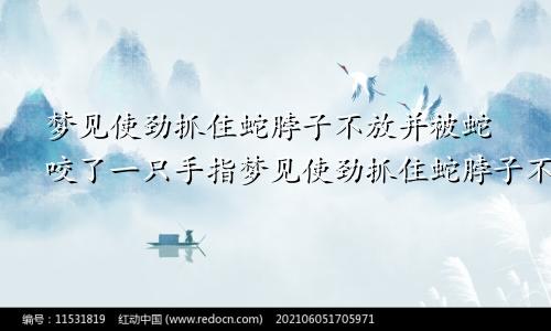 梦见使劲抓住蛇脖子不放并被蛇咬了一只手指梦见使劲抓住蛇脖子不放最后蛇还是逃跑了是什么意思