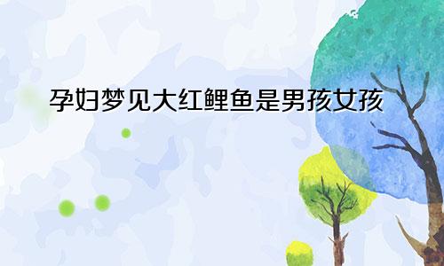 孕妇梦见大红鲤鱼是男孩女孩