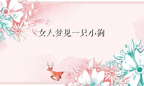 女人梦见一只小狗