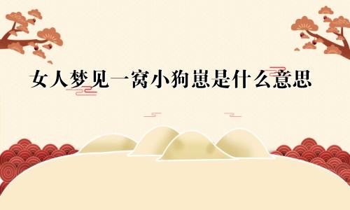 女人梦见一窝小狗崽是什么意思