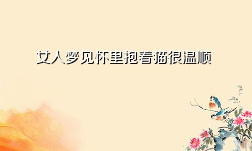 女人梦见怀里抱着猫很温顺