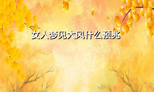 女人梦见大风什么预兆