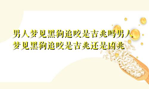 男人梦见黑狗追咬是吉兆吗男人梦见黑狗追咬是吉兆还是凶兆