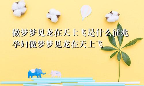 做梦梦见龙在天上飞是什么征兆孕妇做梦梦见龙在天上飞