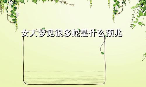 女人梦见很多蛇是什么预兆