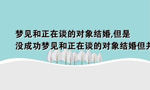 梦见和正在谈的对象结婚,但是没成功梦见和正在谈的对象结婚但并不高兴