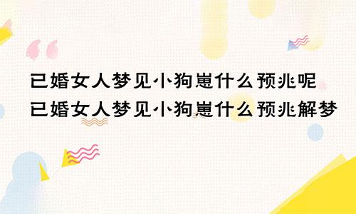 已婚女人梦见小狗崽什么预兆呢已婚女人梦见小狗崽什么预兆解梦