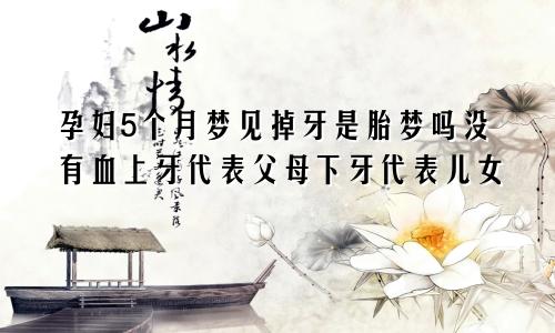 孕妇5个月梦见掉牙是胎梦吗没有血上牙代表父母下牙代表儿女