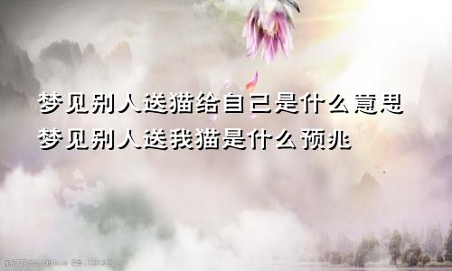 梦见别人送猫给自己是什么意思梦见别人送我猫是什么预兆