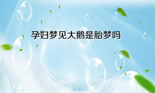 孕妇梦见大鹅是胎梦吗