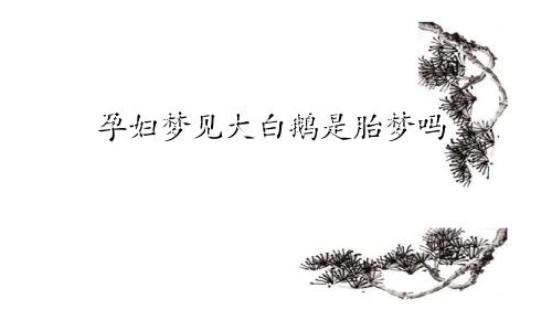 孕妇梦见大白鹅是胎梦吗