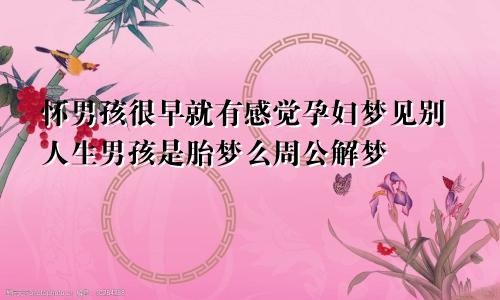 怀男孩很早就有感觉孕妇梦见别人生男孩是胎梦么周公解梦