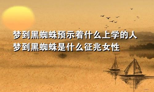 梦到黑蜘蛛预示着什么上学的人梦到黑蜘蛛是什么征兆女性