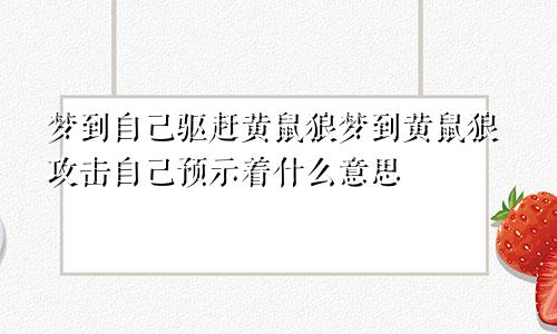 梦到自己驱赶黄鼠狼梦到黄鼠狼攻击自己预示着什么意思