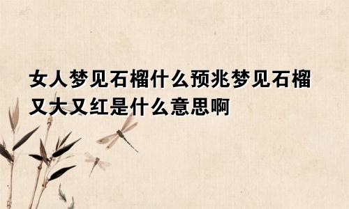女人梦见石榴什么预兆梦见石榴又大又红是什么意思啊