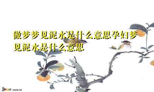做梦梦见泥水是什么意思孕妇梦见泥水是什么意思