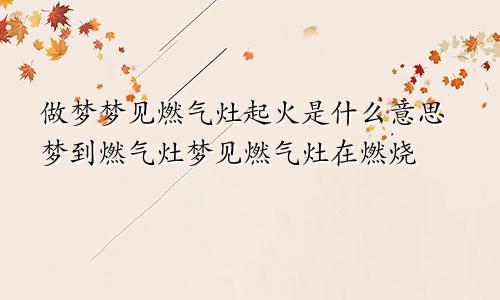 做梦梦见燃气灶起火是什么意思梦到燃气灶梦见燃气灶在燃烧