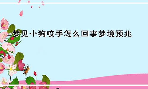 梦见小狗咬手怎么回事梦境预兆
