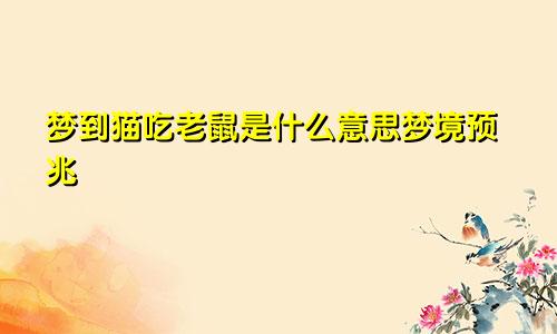 梦到猫吃老鼠是什么意思梦境预兆