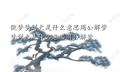 做梦梦到火是什么意思周公解梦梦到火是什么意思周公解梦