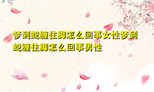 梦到蛇缠住脚怎么回事女性梦到蛇缠住脚怎么回事男性